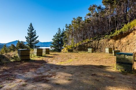 Photo of property in 2464 Port Underwood Road, Port Underwood, Picton, 7281