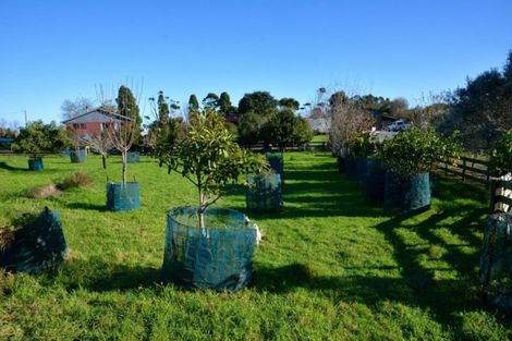 Photo of property in 68 Waverley Street, Karamea, 7893