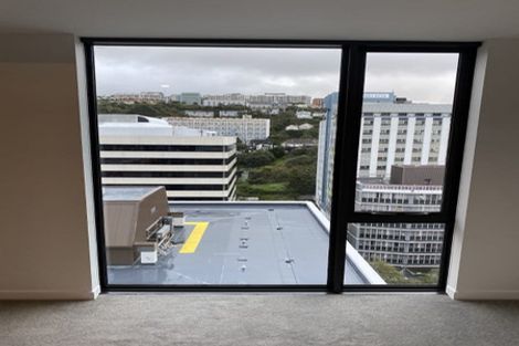 Photo of property in Pinnacle On Victoria, 1301/160 Victoria Street, Te Aro, Wellington, 6011