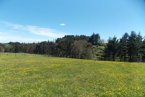 Photo of property in 349 Turitea Road, Turitea, Palmerston North, 4472