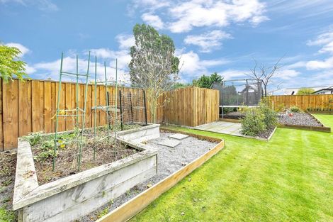 Photo of property in 46 Sunline Avenue, Lincoln, 7608