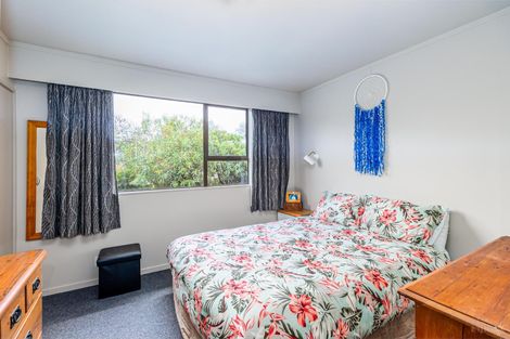 Photo of property in 11 Flatman Crescent, Geraldine, 7930