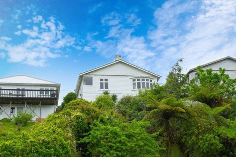 Photo of property in 19 Moffitt Street, Vogeltown, Wellington, 6021