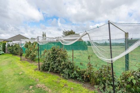 Photo of property in 113 Lower Sefton Road, Ashley, Rangiora, 7477