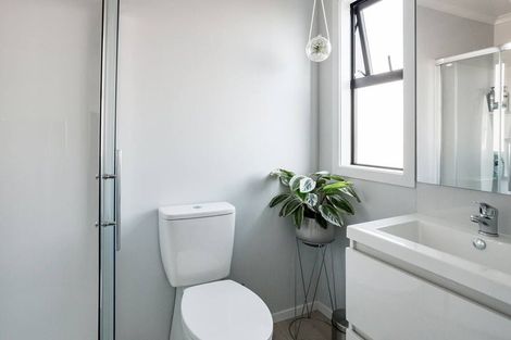 Photo of property in 3/3 Charlemont Street, Whitiora, Hamilton, 3200