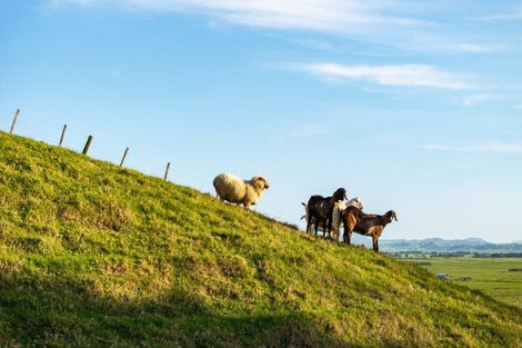 Photo of property in 170 Corbett Road, Whakapara, Hikurangi, 0182