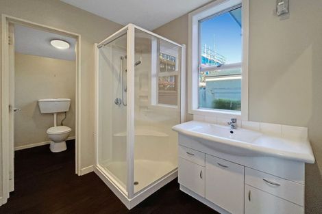 Photo of property in 17 Sumner Street, Spreydon, Christchurch, 8024