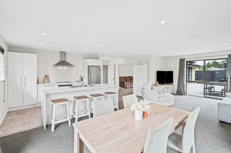 Photo of property in 17a Normanby Street East, Rakaia, 7710