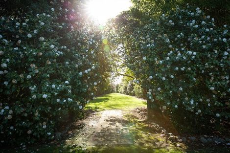 Photo of property in 150 Rangiuru Road, Otaki, 5512