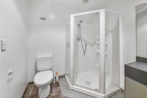 Photo of property in St Peters Apartments, 1c/192 Willis Street, Te Aro, Wellington, 6011