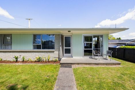 Photo of property in 167a Galloway Street, Hamilton East, Hamilton, 3216