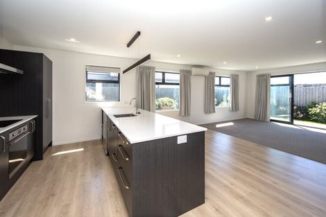 Photo of property in 55 William Nicholls Drive, Belfast, Christchurch, 8051