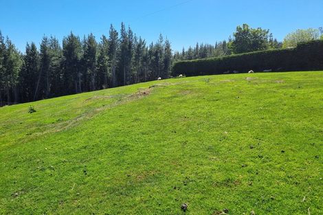 Photo of property in 531 Coal Gully Road, Glenledi, Milton, 9292