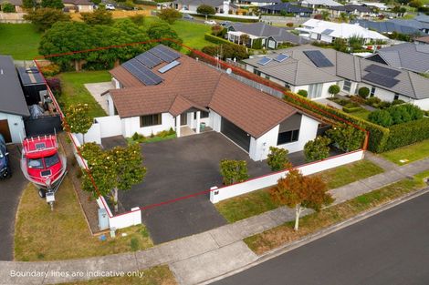 Photo of property in 24 Aleisha Place, Ohauiti, Tauranga, 3112