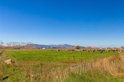 Photo of property in 55 Awaiti Road, Netherton, Paeroa, 3672