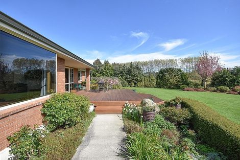 Photo of property in 44 Moneymore Road, Milton, 9292