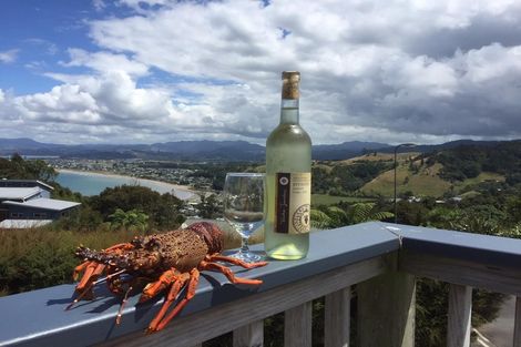 Photo of property in 6 Rabbit Way, Whitianga, 3510