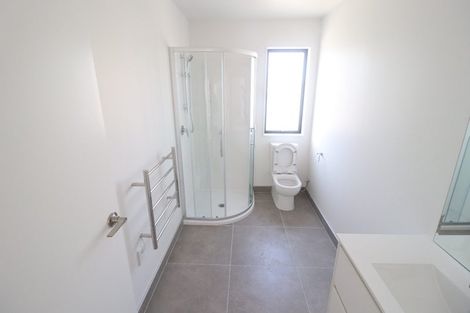 Photo of property in 20 Hiki Street, Hobsonville, Auckland, 0616