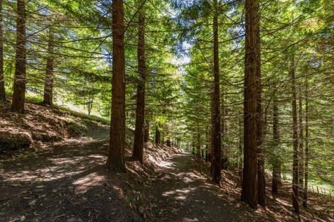 Photo of property in 77 Black Barn Road, Havelock North, 4294