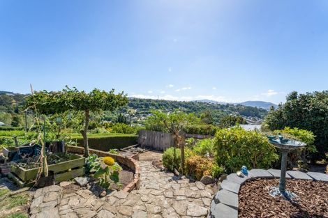 Photo of property in 52 Waimea Avenue, Calton Hill, Dunedin, 9012