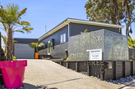 Photo of property in 3c Hinz Lane, Bell Block, New Plymouth, 4312