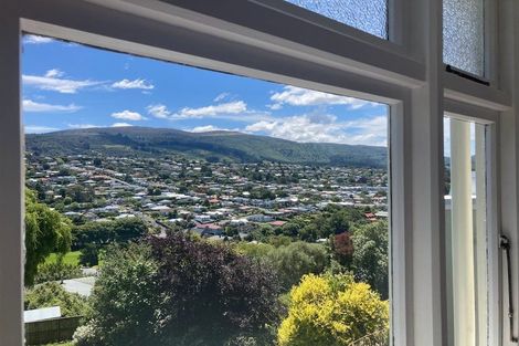 Photo of property in 16 Ann Street, Roslyn, Dunedin, 9010