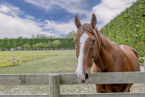 Photo of property in 378 Ashburton Staveley Road, Greenstreet, Ashburton, 7771