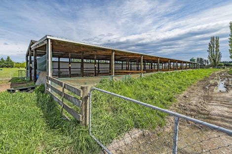 Photo of property in 41 Poplar Lane, Lincoln, Christchurch, 7674