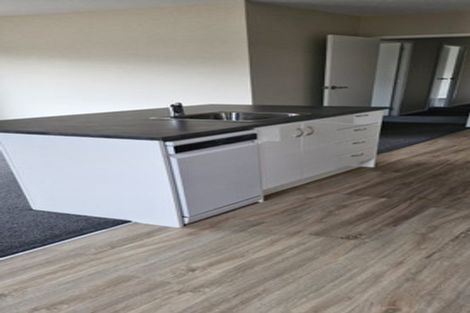 Photo of property in 30a Larch Place, Casebrook, Christchurch, 8051