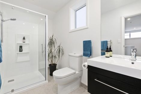 Photo of property in 214 Thirteenth Avenue, Tauranga South, Tauranga, 3112