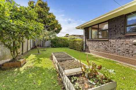 Photo of property in 35 Mcgregor Street, Milson, Palmerston North, 4414