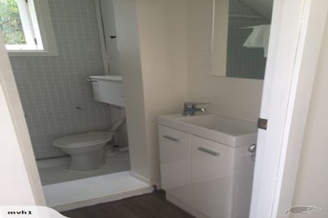 Photo of property in 3/21 Harrold Street, Aro Valley, Wellington, 6012