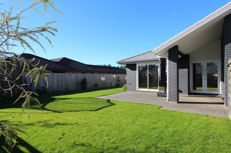 Photo of property in 31 Maeburn Street, Witherlea, Blenheim, 7201