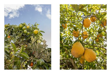 Photo of property in 55 Hinemoa Street, Whakatane, 3120