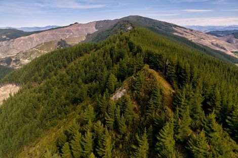 Photo of property in 895 Waikakaho Road, Tuamarina, Blenheim, 7273