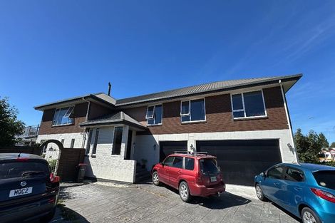 Photo of property in 133 Winters Road, Mairehau, Christchurch, 8052