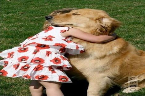 Photo of property in 79 Annandale Road, Kumeu, 0891