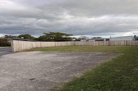 Photo of property in 13 Margaret Street, Levin, 5510