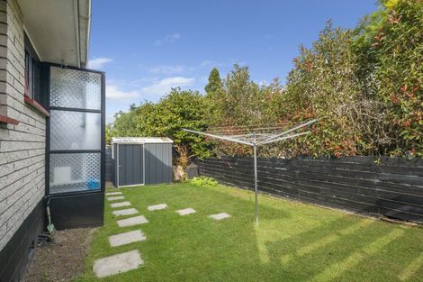 Photo of property in 7 Lorna Place, Brookfield, Tauranga, 3110