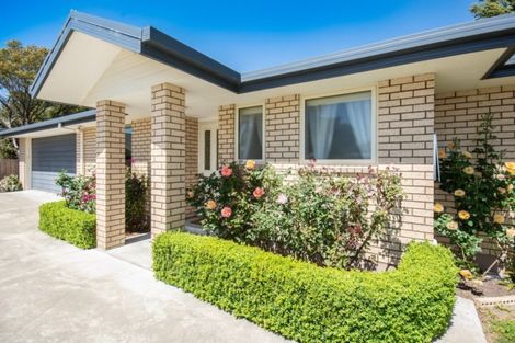 Photo of property in 164b Budge Street, Riversdale, Blenheim, 7201