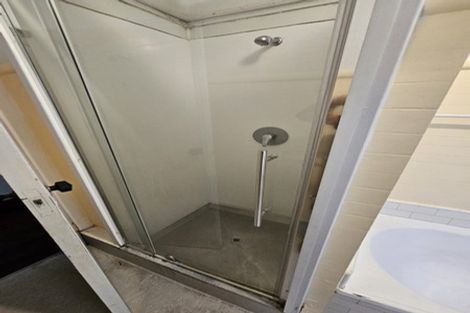 Photo of property in 14 Essex Street, Aro Valley, Wellington, 6021