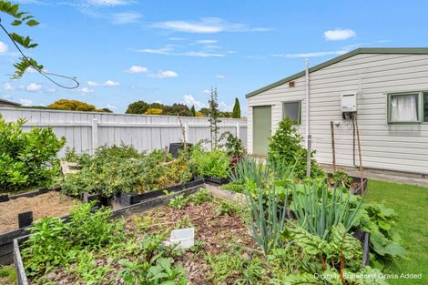 Photo of property in 111 Apollo Parade, Milson, Palmerston North, 4414