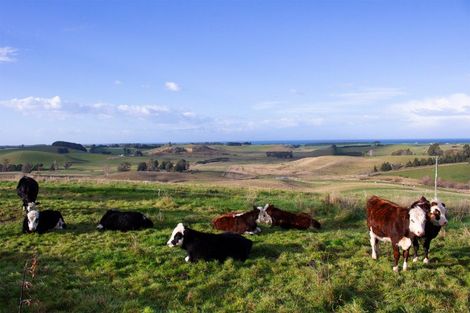 Photo of property in 246 Double Hill Road, Herbert, Oamaru, 9495