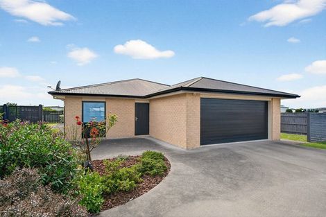 Photo of property in 2 Craigmillar Street, Solway, Masterton, 5810