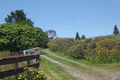 Photo of property in 97 Ross Road, Whakamarama, Tauranga, 3179