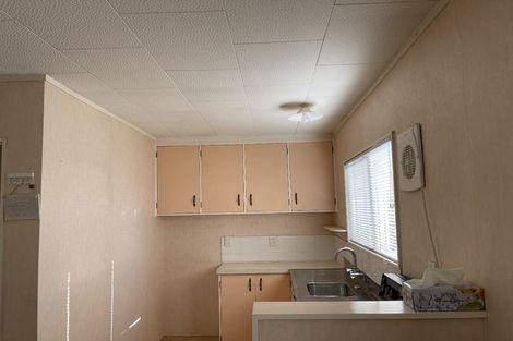 Photo of property in 16b Mako Mako Road, Levin, 5510