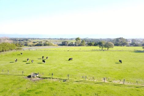 Photo of property in 11 Tipapakuku Road, Dannevirke, 4930