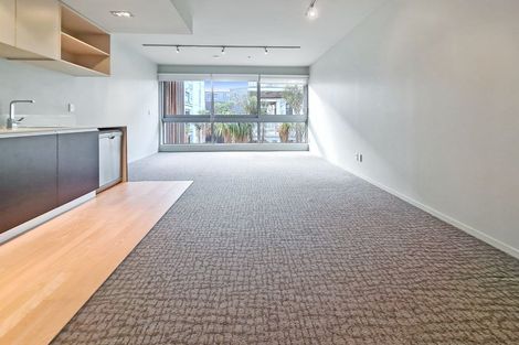 Photo of property in Revolucion Apartments, 211e/28 Torrens Terrace, Mount Cook, Wellington, 6011