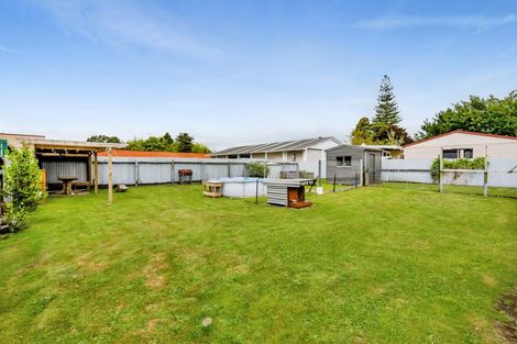 Photo of property in 19 Kahikatea Street, Inglewood, 4330