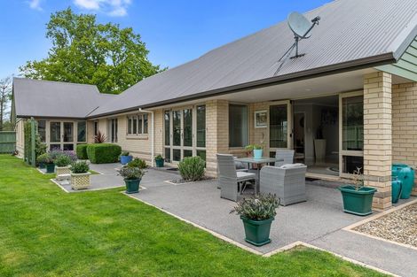 Photo of property in 48 Ritchie Street, Te Aroha, 3320